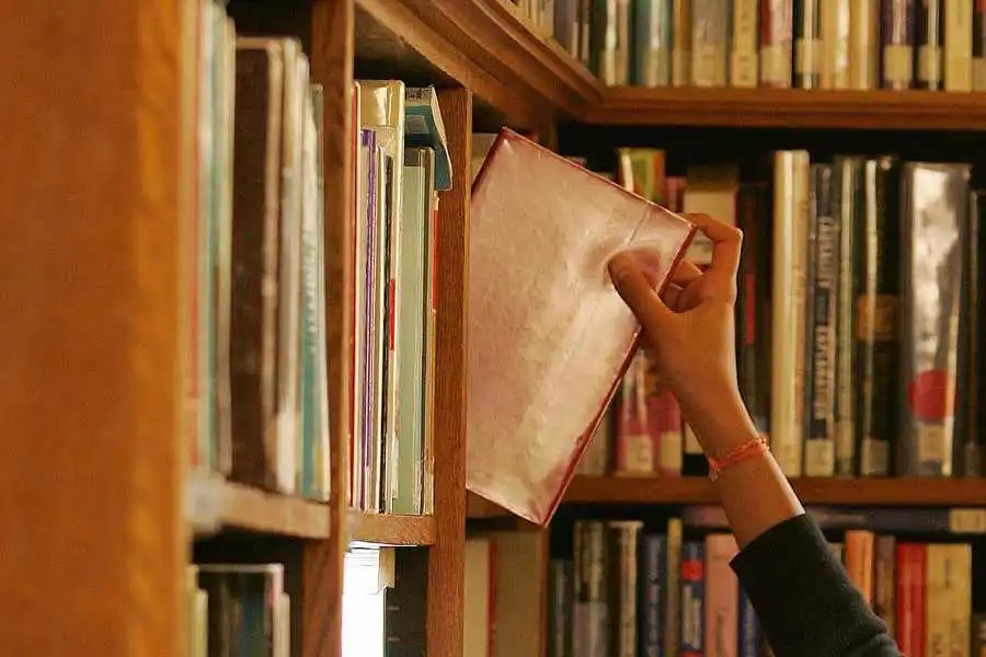 Co w trawie, nie!, w bibliotece piszczy?