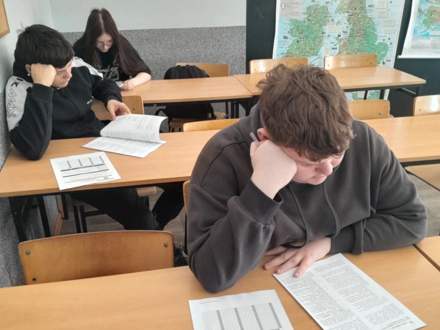 English Challenge: Kangury 2026